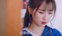 姐姐的朋友在线视频,一场跨越屏幕的温馨互动